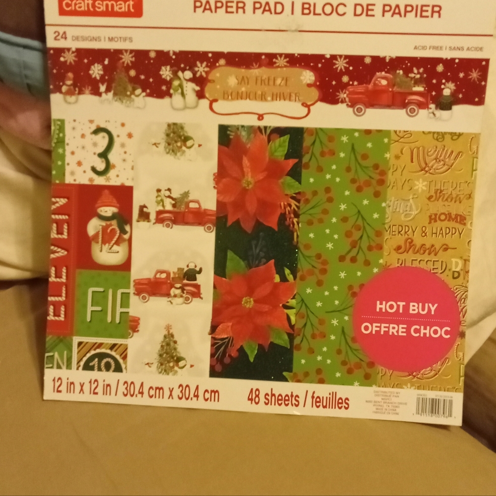 Craft Smart- SAY FREEZE Cardstock Paper Pad - 12"x12" 48 sheets